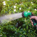 Eine Frauenhand hält eine Gartenschlauch-Brause und gießt damit Pflanzen.