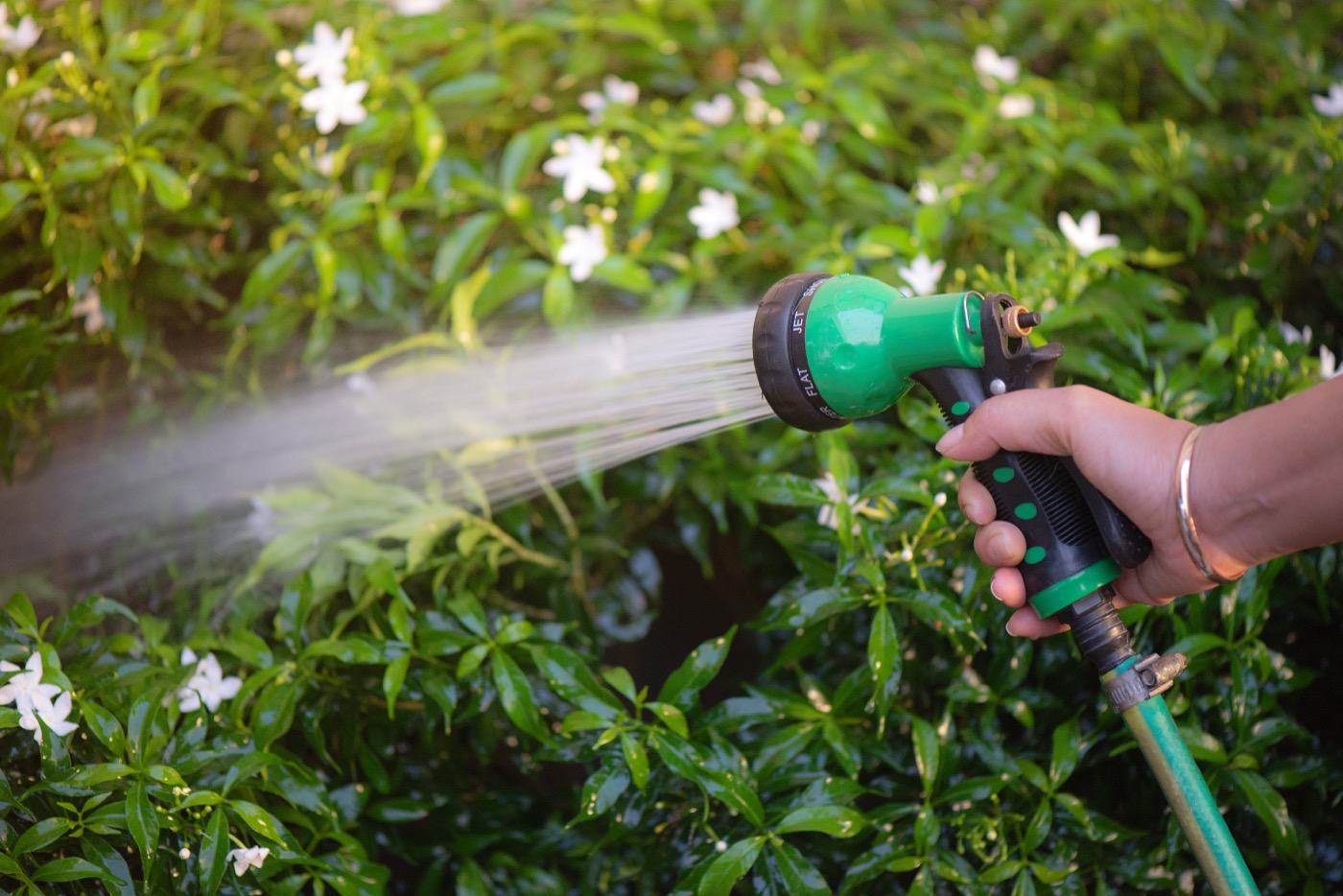 Eine Frauenhand hält eine Gartenschlauch-Brause und gießt damit Pflanzen.