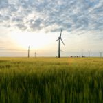 Zahlreiche Windkraftanlagen stehen verteilt auf einem weiten Getreidefeld unter einem leicht bewölkten Himmel im Abendlicht.